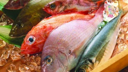 Žuvų poveikis imunitetui! Kuo naudingi žuvys? Kaip vartoti sveikiausias žuvis?
