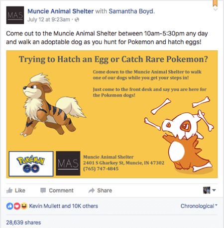 pokemon go muncie gyvūnų prieglauda