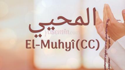 Ką reiškia al-muhyi (cc)? Kuriose eilutėse minimas al-Muhyi?