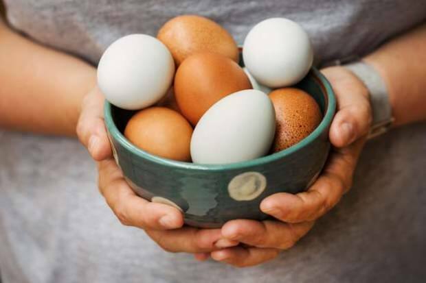 Kaip atliekama organinių kiaušinių analizė?