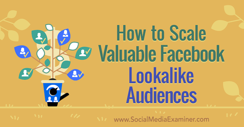 Kaip suskaičiuoti vertingą „Facebook Lookalike“ auditoriją, kurią pateikė Yahavas Hartmanas socialinės žiniasklaidos eksperte.
