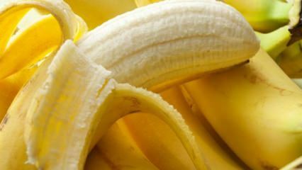 Bananas sugadina