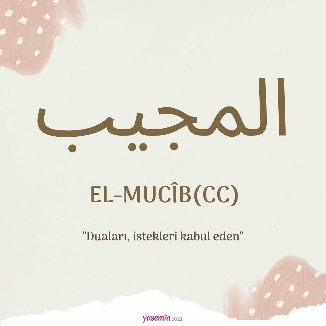 Ką reiškia al-Mujib (cc)?