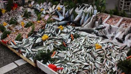 Kaip pašalinti karšių žuvis? Jūrų karosų išgavimo gudrybės