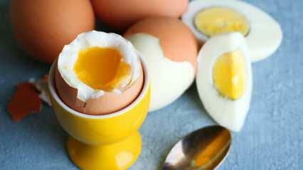 Kokį poveikį organizmui turi kasdien suvalgius 2 kiaušinius sahure?