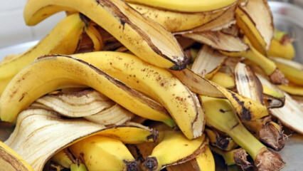 Kuo naudingi bananai? Kiek yra bananų rūšių? Nežinomas bananų žievelės panaudojimas! 