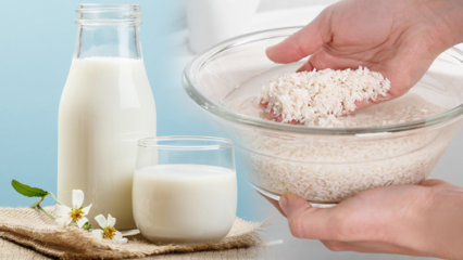 Kaip paruošti riebalus deginantį ryžių pieną? Lieknėjimo būdas su ryžių pienu