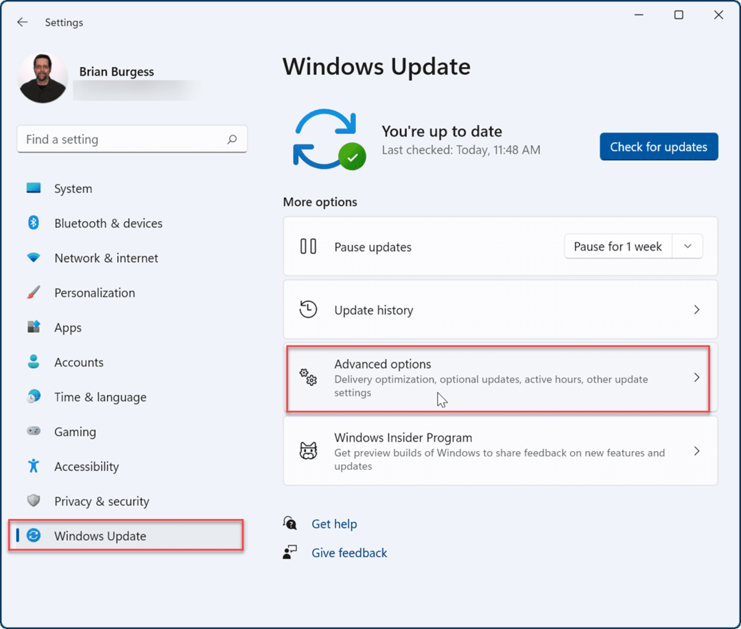 „Windows Update“ išplėstinės parinktys