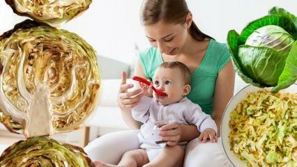 Ar kūdikiai valgo kopūstus? Kokį mėnesį kūdikiams reikia duoti kopūstų? Kopūstų nauda kūdikiams