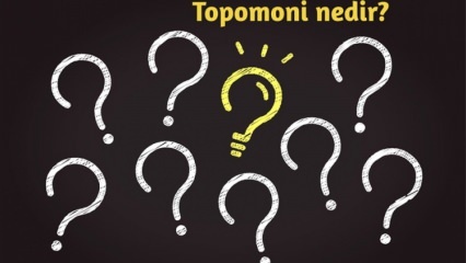 Kas yra topomonija, ką ji nagrinėja? Kuo naudingas topomoninis mokslas? 
