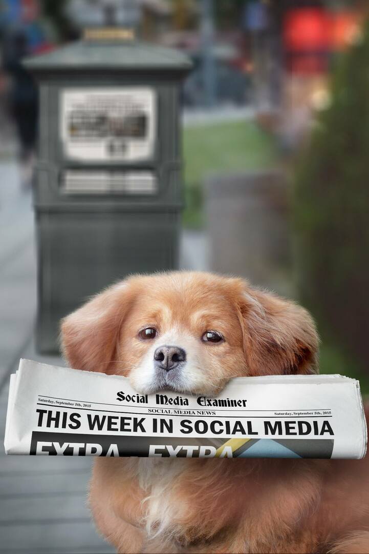 socialinių tinklų eksperto savaitės naujienos, 2015 m. rugsėjo 5 d