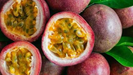 Kokie yra aistros vaisių pranašumai? Kaip vartojami pasifloros vaisiai?