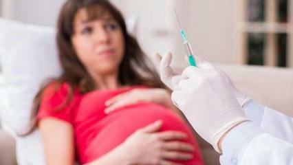 Įspėjimas iš ekspertų! Nėščios moterys lauks koronaviruso vakcinos