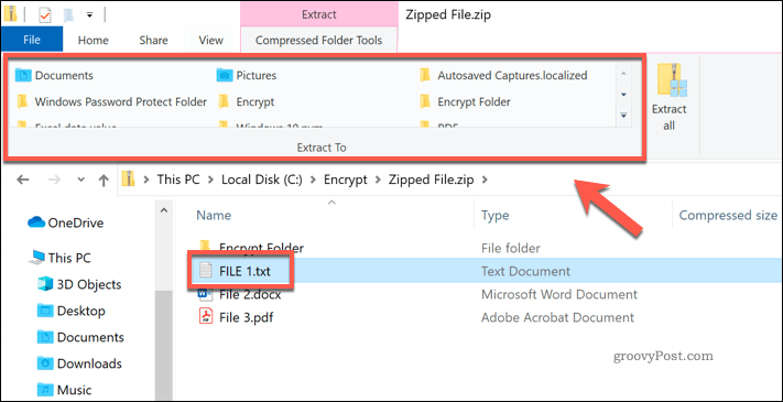 Atskiro failo išskleidimas iš „Zip“ failo, esančio „Windows File Explorer“