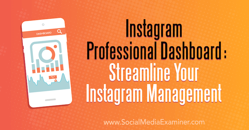 „Instagram Professional“ informacijos suvestinė: supaprastinkite savo „Instagram“ valdymą, kurią pateikė Naomi Nakashima socialinės žiniasklaidos eksperte.