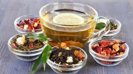 Ar jazminų arbata netenka svorio?