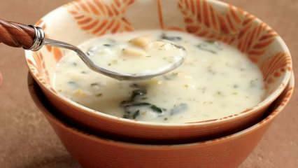 Kas yra dovga sriuba ir kaip pasigaminti dovgos sriubą? Dovga sriubos receptas namuose