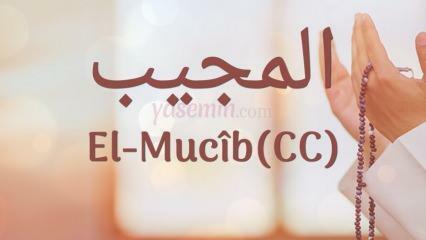 Ką reiškia al-Mujib (c.c)? Kokios yra vardo Al-Mujib dorybės? Esmaulas Husna Al-Mujibas...