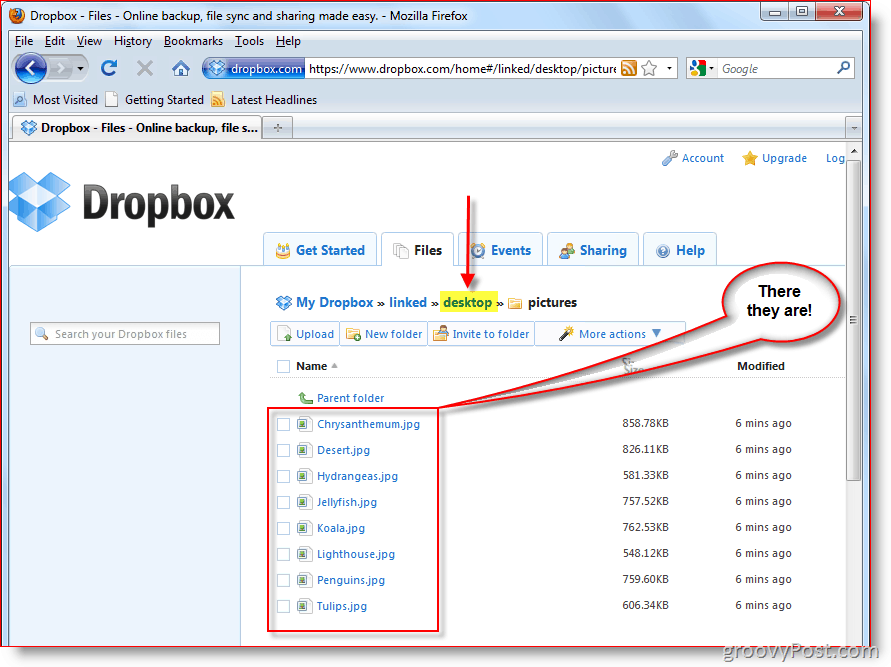 „Dropbox“ internetinė konsolė