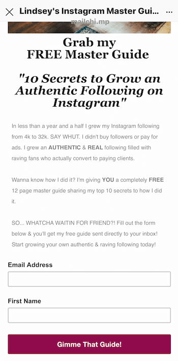 švino magneto nukreipimo puslapio pavyzdys, reklamuojamas „Instagram“ istorijoje