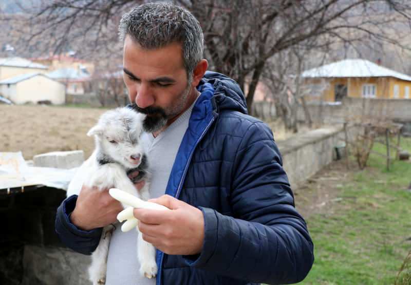 Muratas Aydemiras išgelbėjo ožkos jauniklio gyvybę