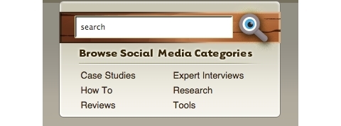 socialinės žiniasklaidos ekspertų kategorijos 2009 m