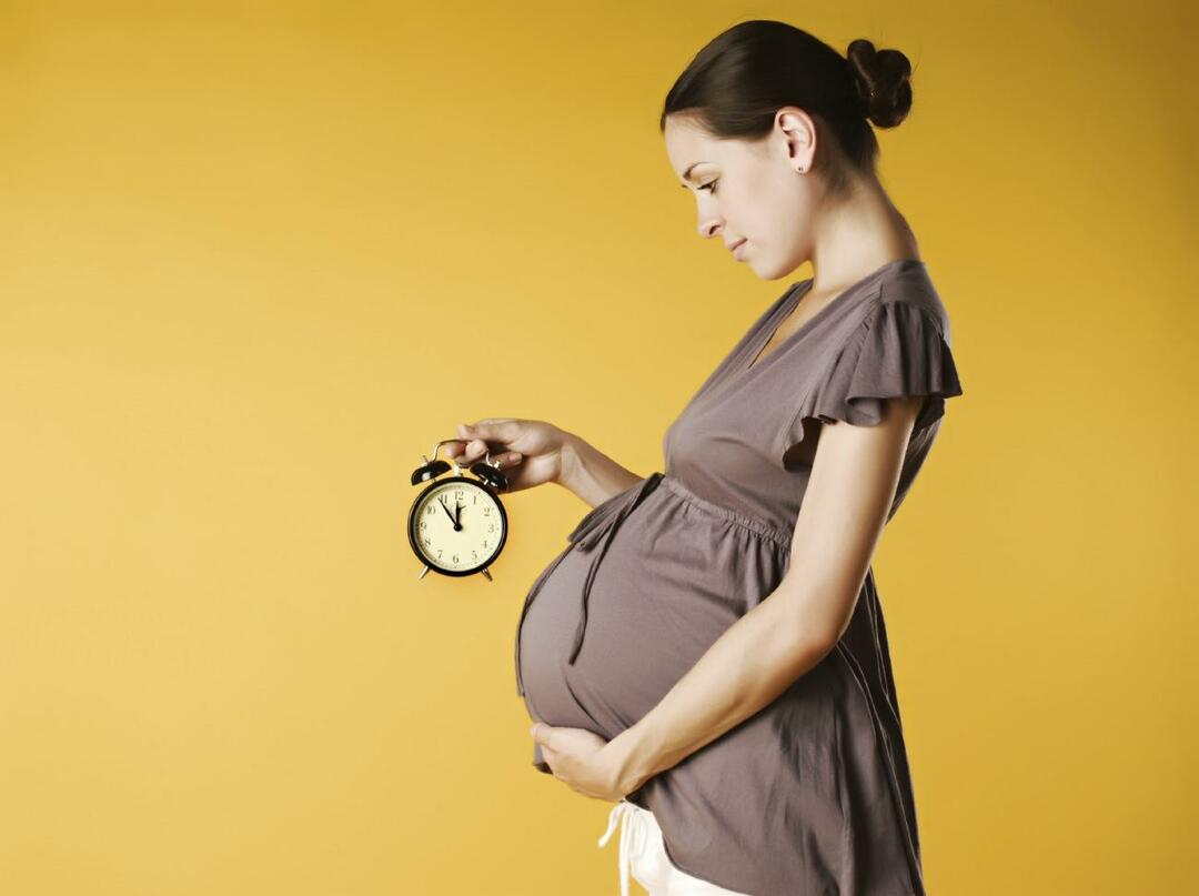 Ar nėščios moterys gali gerti taures?