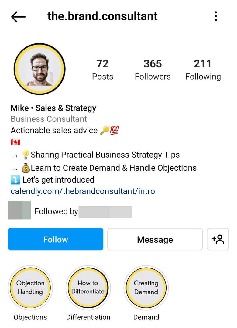 instagram-bio-the.brand_.sultant-service-provider-example