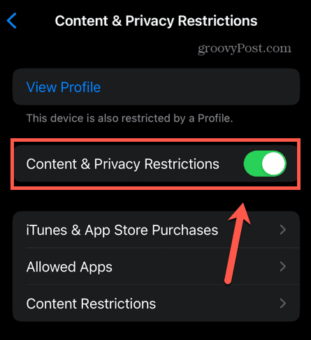 iphone turinio ir privatumo apribojimai
