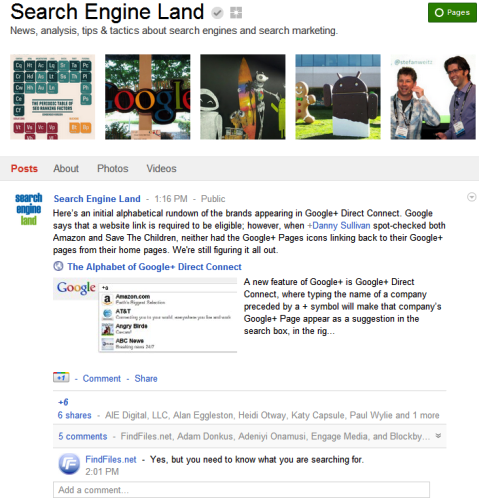„Google+“ puslapiai - paieškos variklio žemė