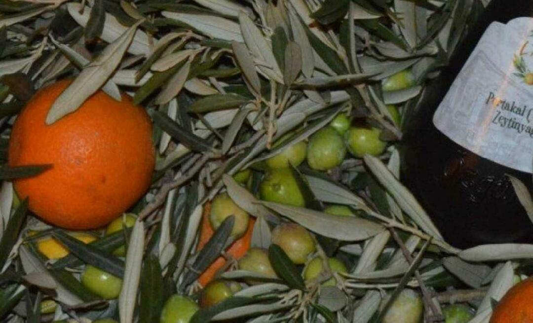 Moterys verslininkės iš Balıkesir gamino apelsinų alyvuogių aliejų!