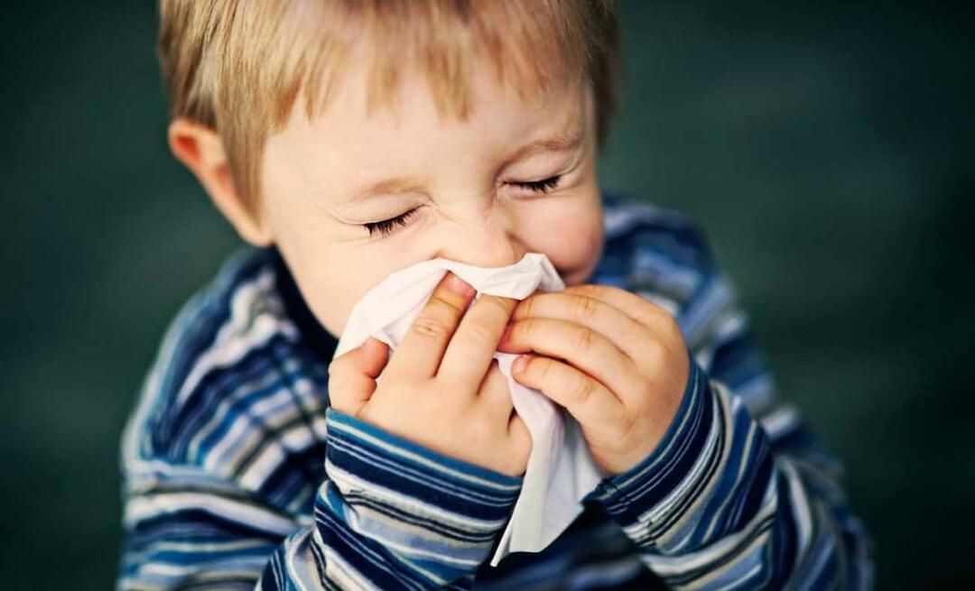 Kas yra sezoninė alergija vaikams? Ar jis maišosi su šalčiu? Kas tinka sezoninėms alergijoms?