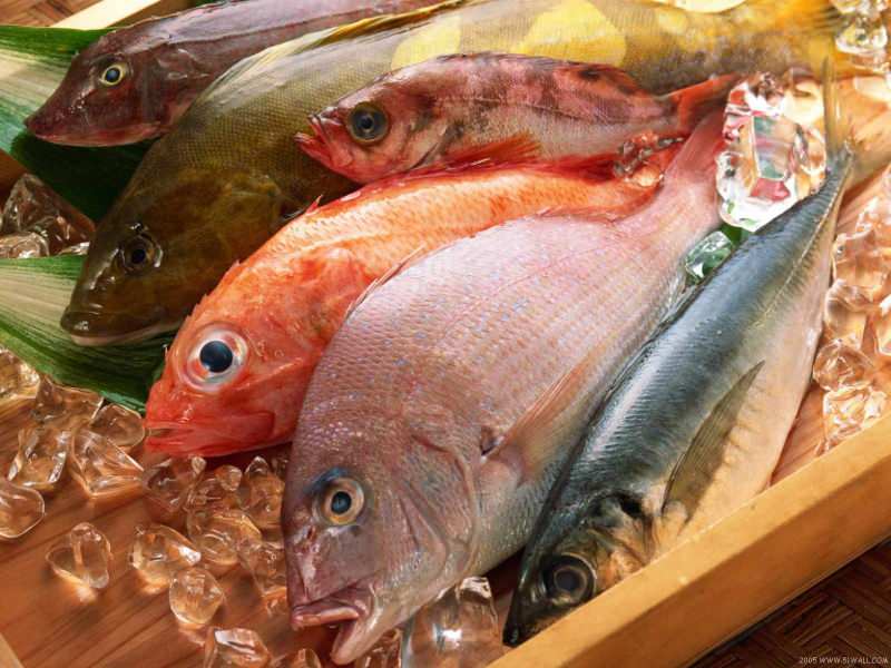 „Masterchef“ žiuri „Mehmet Chef“ patarimai, kaip pasirinkti šviežią žuvį