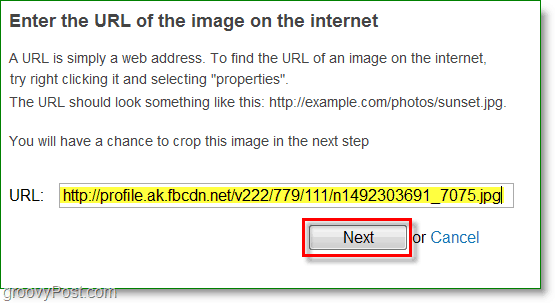 „Gravatar“ ekrano kopija - įveskite vaizdo URL