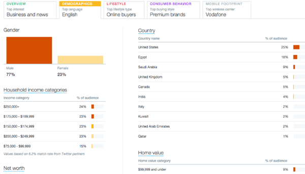„twitter“ auditorijos skirtuko „demografiniai duomenys“ informacijos pavyzdys