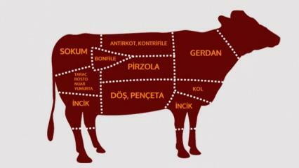 Kokios yra jautienos dalys? Kokia mėsa iš kokio regiono pjaustoma?
