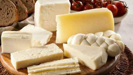 Kaip laikomas sūris? Kaip laikyti sūrį iš šaldytuvo