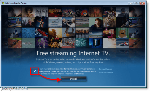 „Windows 7 Media Center“ patikrinkite ĮS ir privatumo patvirtinimą ir spustelėkite Įdiegti