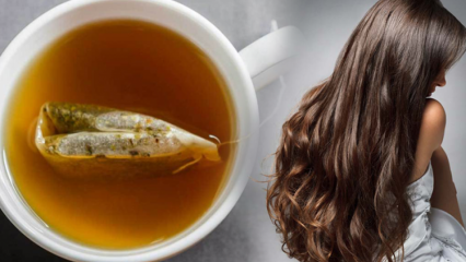 Kokie yra žaliosios arbatos pranašumai plaukams? Žaliosios arbatos odos kaukės receptas