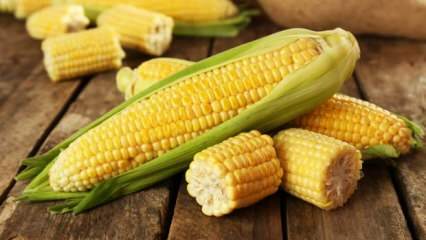 Kuo kenkia kukurūzai?