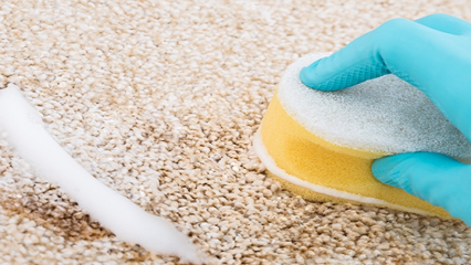 Plaukų dažų valymo būdai iš kilimo