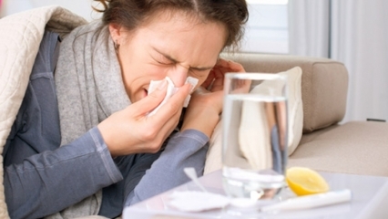 Koks maistas yra geras peršalimo ir gripo atvejais? 5 maisto produktai, užkertantys kelią gripui ...