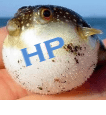 HP bloatware sulėtina jūsų kompiuterį, leidžia jį ištaisyti