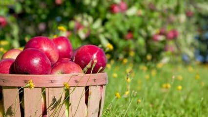 Patarimai, kaip išlaikyti obuolį šviežią