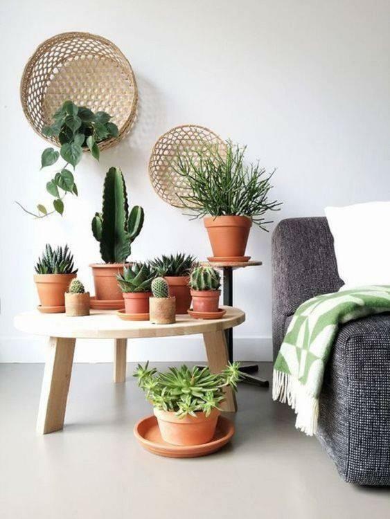 augalų dekoravimas