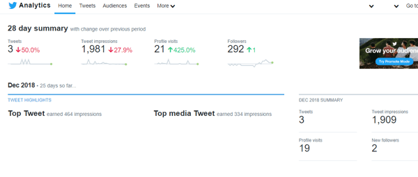 28 dienų „Twitter Analytics“ santraukos pavyzdys.