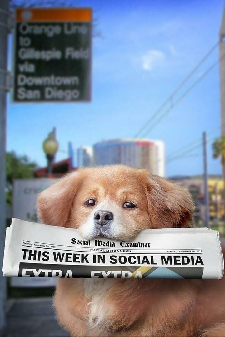 „Periscope“ tiesiogiai transliuoja „Twitter“: Ši savaitė socialiniuose tinkluose: socialinės žiniasklaidos ekspertas