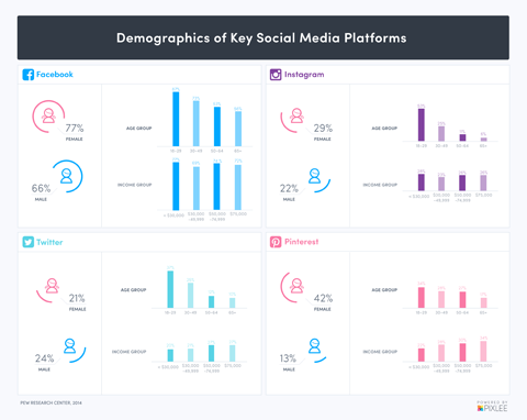 socialinės žiniasklaidos demografija