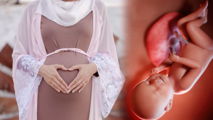 Perskaitytos maldos, kad kūdikis būtų sveikas nėštumo metu, ir Huseyino norų prisiminimas