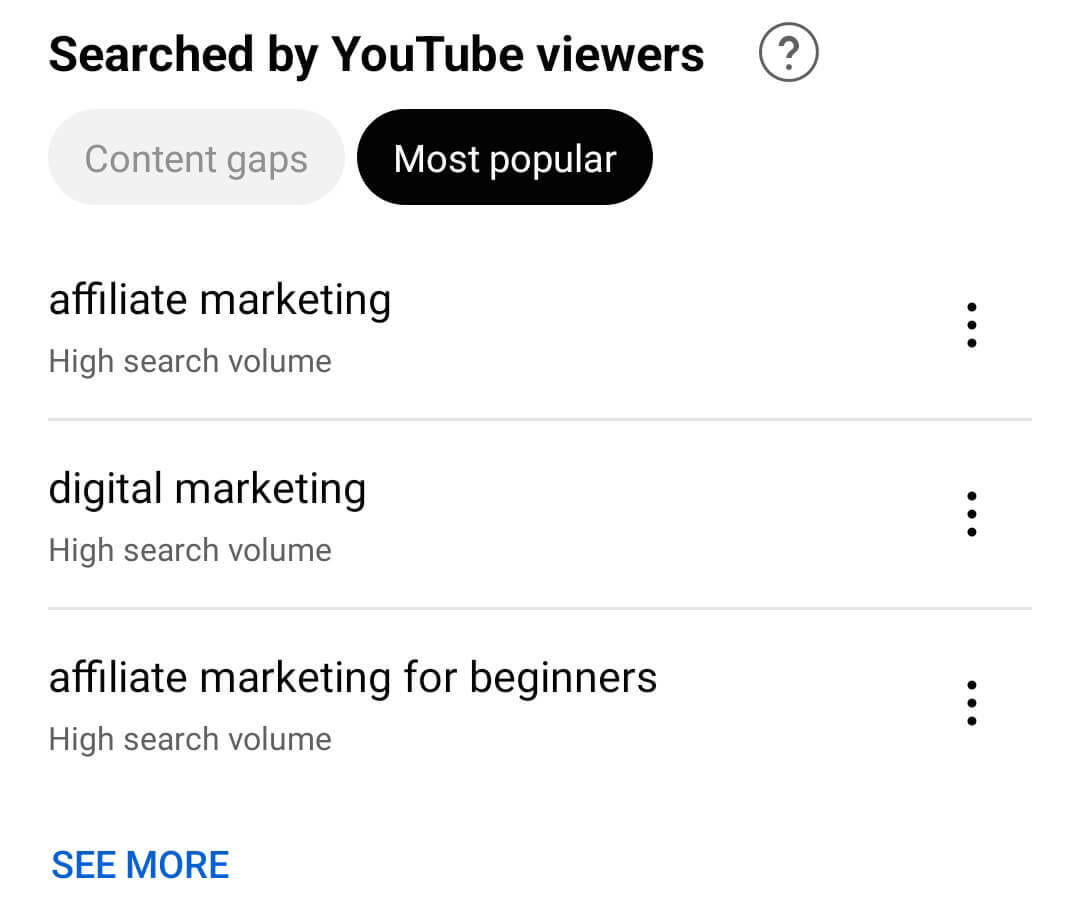 youtube-paieškos apimtis-potencialių-temų-žiūrinčiųjų-8 skyrius